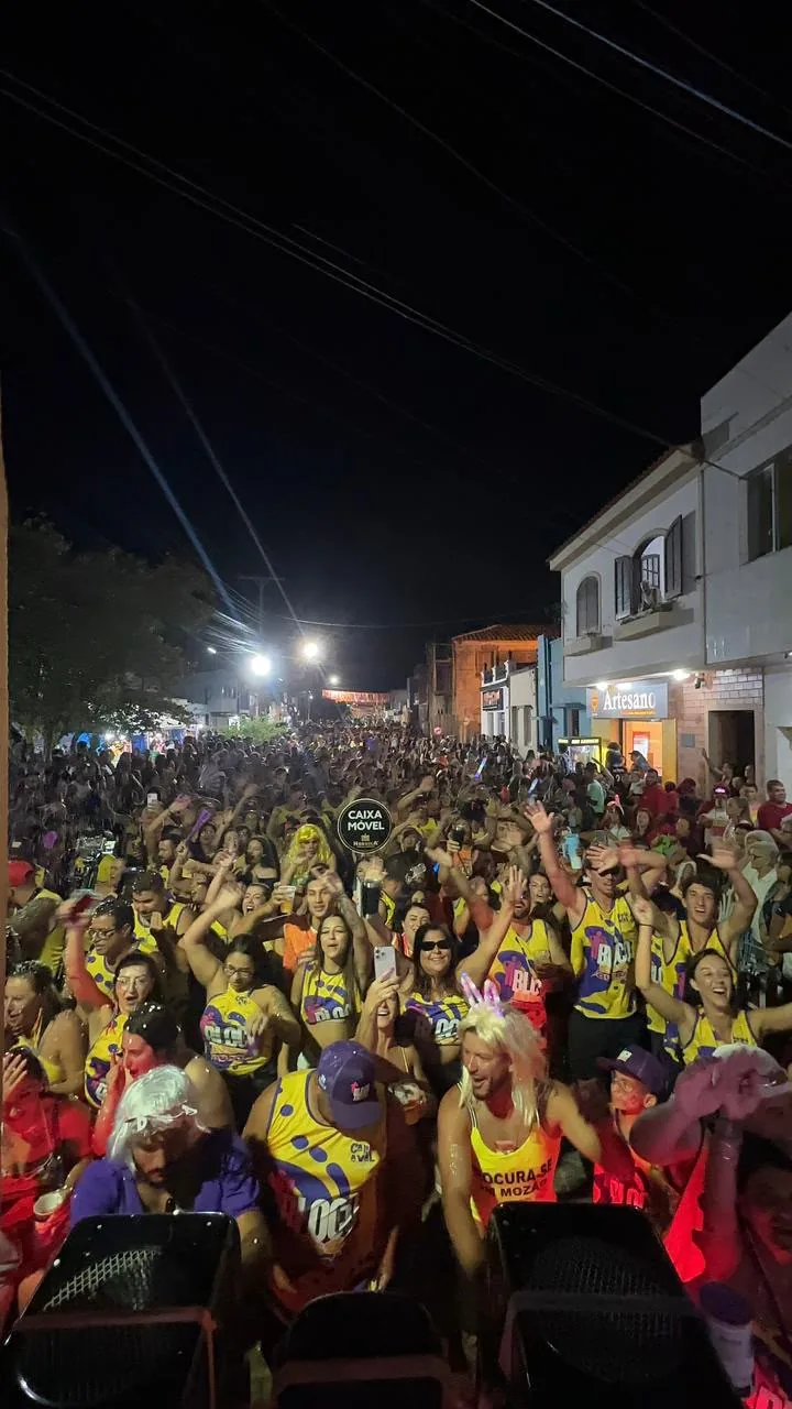 Foliões de abadá cantando e pulando na rua à noite